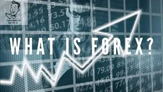 What is Forex? Forex Basics Simplified | FxProNow | Forex Trading Tips