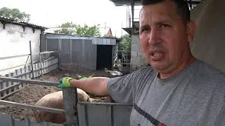 КАЗАХТАН🇰🇿 Как живут люди на Юге Казахстана.  Жизнь простой семьи в КАЗАХСТАНЕ. #деревня #хутор