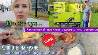 Съездила в суд. Распаковка садовой техники. Простые рецепты. Домашний Влог. Сад Газонокосилка Ryobi