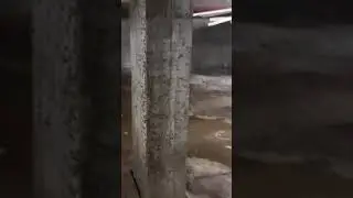 כמה ג'וקים 😱 לפני הדברה - אלדר הדברות
