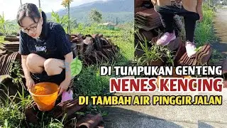 Pas... asik joging pagi tiba-tiba nenes pipis di tumpukan genteng... ❓