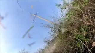 День зависимой не Зависимости Украины