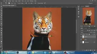 Turn a Cat Into a Tiger with Photoshop