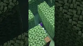 This GIANT Maze is Difficult...