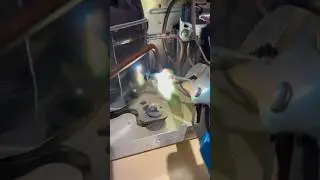 Lg refrigerator not cooling