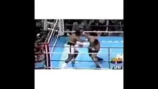 Happy Birthday Mike Tyson - Vine