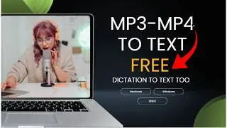 Transcribe MP3-MP4  using VIBE Application | FREE