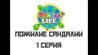 Теория большого взрыва 1 серия