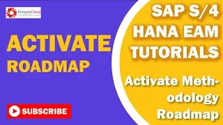 SAP Activate Methodology Roadmap - Lesson 1
