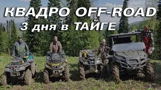 Off-Road на квадроциклах.  3 дня в ТАЙГЕ