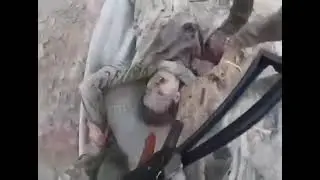 18+ 🇦🇺⚰️Тем временем в лесах возле Кременной очередного наемника грузят...