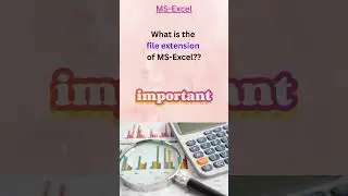 MS Excel 📊 | File extension of MS-Excel 