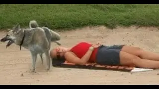 ПРИКОЛЫ 2017  жесть угар прикол