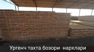 Ургенч тахта бозори нархлари 11 Январь 2022