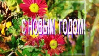 ЦВЕТЫ -  НА  НОВЫЙ ГОД.  мУЗЫКА ЭРНЕСТО  КОРТАЗАРА