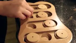 Seek-A-Treat Dog IQ Puzzle (shuffle bone)
