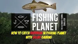 Fishing Planet | How to Catch Red Drum in the Everglades