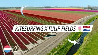 Kitesurfing X Tulip fields 🇳🇱 Ep.2