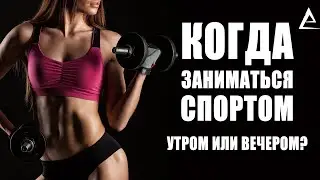 Когда заниматься спортом утром или вечером