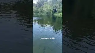 Финальный заплыв 