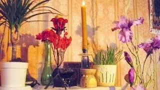 Wax Candle / FLU Prevention