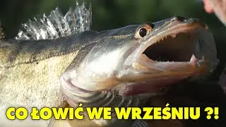 Jakie ryby możesz skutecznie łowić we wrześniu ?