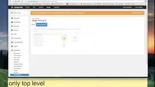 RSS Feeds