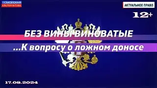 Без вины виноватые. К вопросу о ложном доносе. #Актуальное право (17.08.2024) [12+].