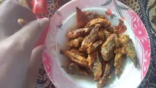Village  ma log kasa kam krty ha mara sona village Nagal Shaho Narowal
