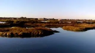 Marismas Sancti Petri
