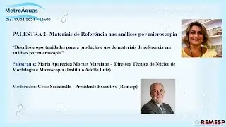 Materiais de Referência nas análises por microscopia