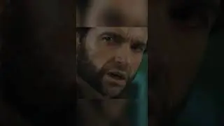 Росомаха и яйца 
