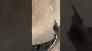 Nissan kicks front bumper removal