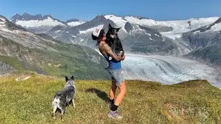 Hiking Mt McGinnis in Juneau, Alaska with Cattle Dogs