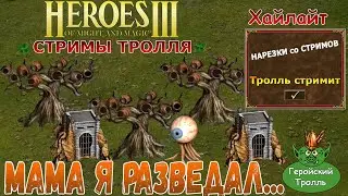 Мама, я разведал... (Герои 3)