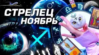 СТРЕЛЕЦ - ПРОГНОЗ НОЯБРЬ | ДИКИЕ СОБЫТИЯ ⭐️ ГОРОСКОП ТАРО | ШОК НОВОСТИ ЛЮБОВЬ И ПЛУТОН
