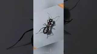 How to Draw 3D Ant  drawing / pencil sketch ant / Drawing 3D Ant