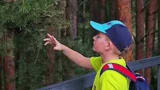 Куршская коса. Высота Эфа. 4.08.2024