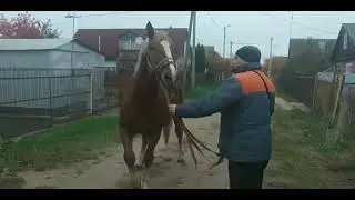 Покупка Венера👍 3 года✨