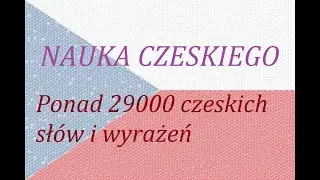 Nauka języka czeskiego - dużo słów i wyrażeń