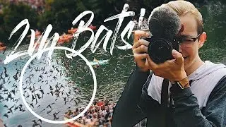 WE SAW A CLOUD OF OVER 2M BATS!! // VLOG 33