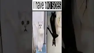 i have two sides