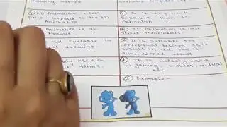 2D Animation Vs 3D Animation || with Pictures || Multimedia