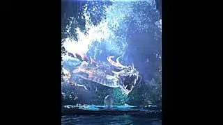 Untitled video