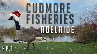 Cudmore Fisheries - Adelaide Winter Session 2022 - On The Bank! - Ep.6