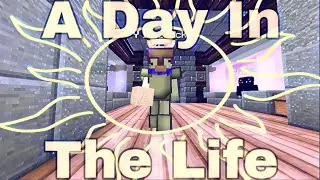 A Day In The Life Of A Duck
