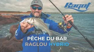 Pêche du Bar au RAGLOU HYBRID !