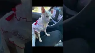💙💛Ми з України