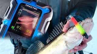 Zander fishing with Praktik 8 PRO WIFI | Echovisor!!! Winter navigation