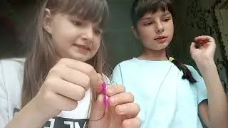 3 июня 2023 г.